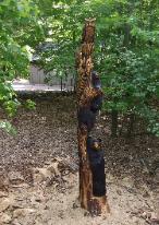 Stump carving, burned and stained